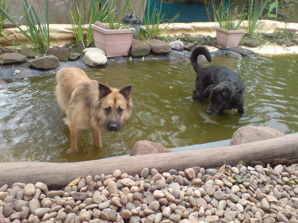 Jerry und Tico bei ihrer Lieblingsbeschäftigung