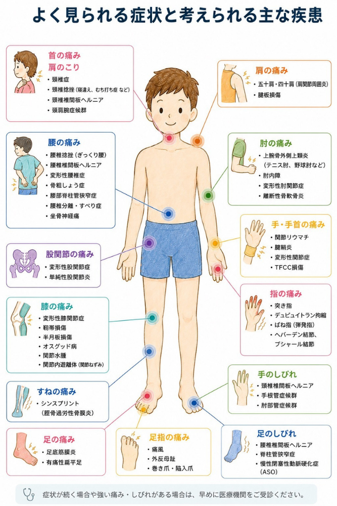 頚椎症　五十肩　腰椎椎間板ヘルニア　腰部脊柱管狭窄症　テニス肘　野球肘　変形性股関節症　膝関節症　ばね指　足底筋膜炎　