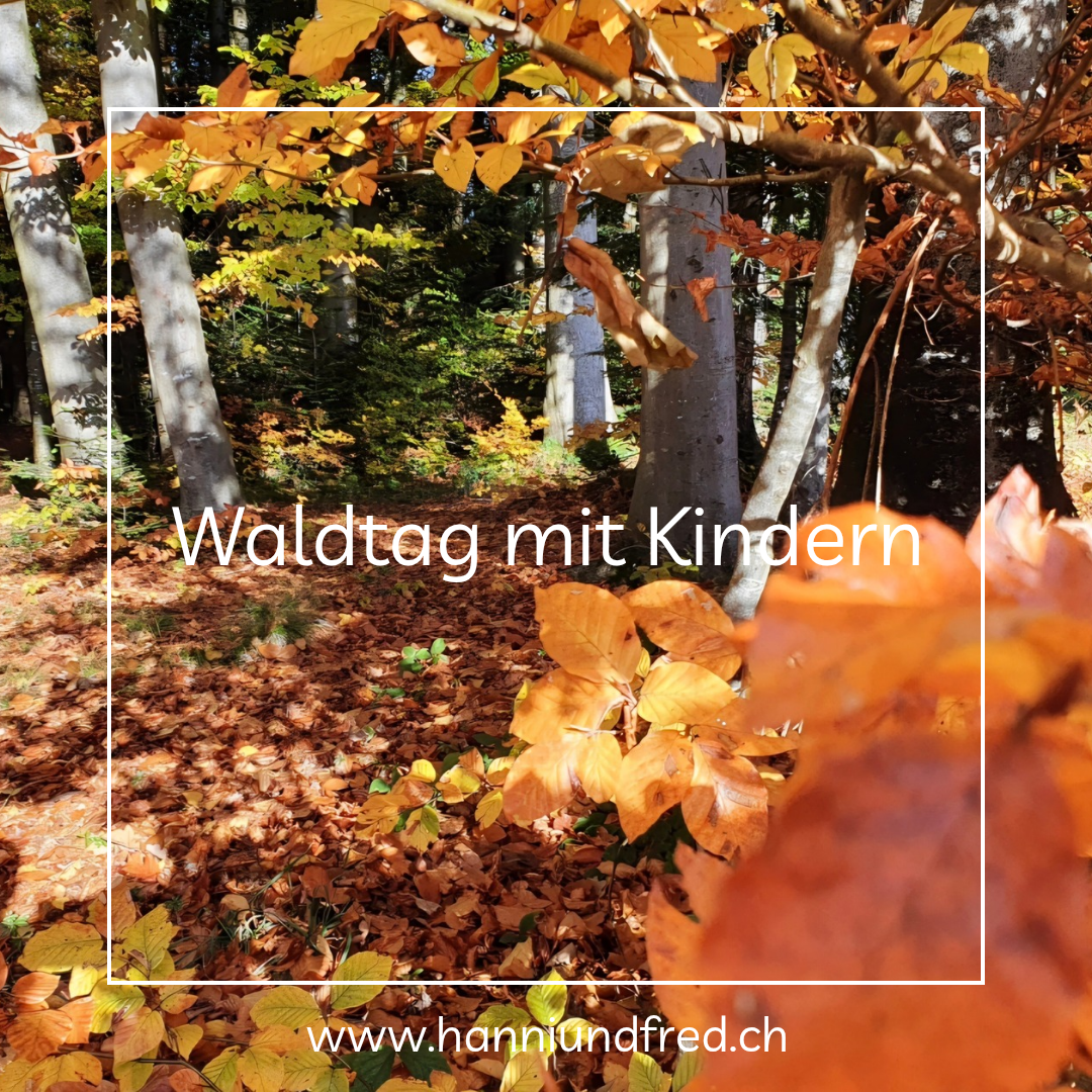Waldtag mit Kindern