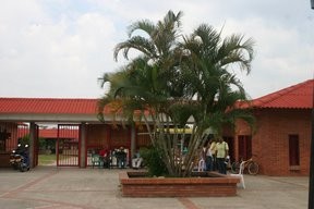 Comite de ganaderos de Tame.
