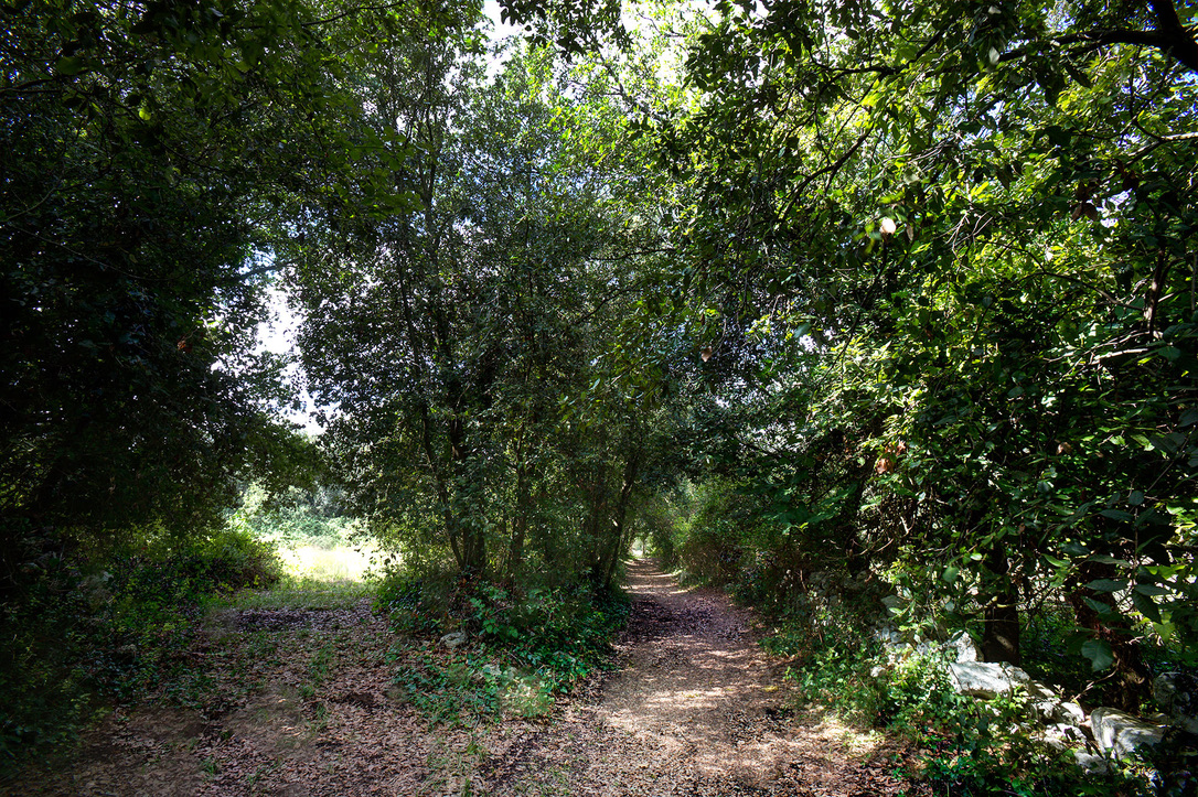 Itinerario naturalistico  in agriturismo a Tenuta Sant'Andrea - Salento