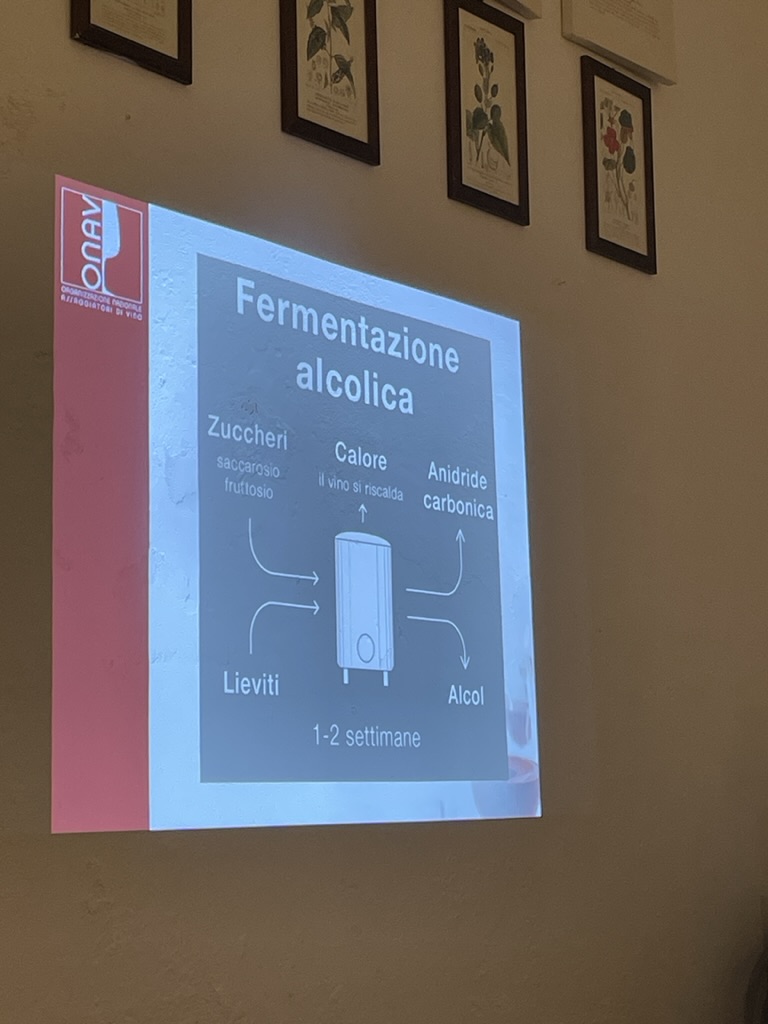 Corso assaggiatori di vino ONAV