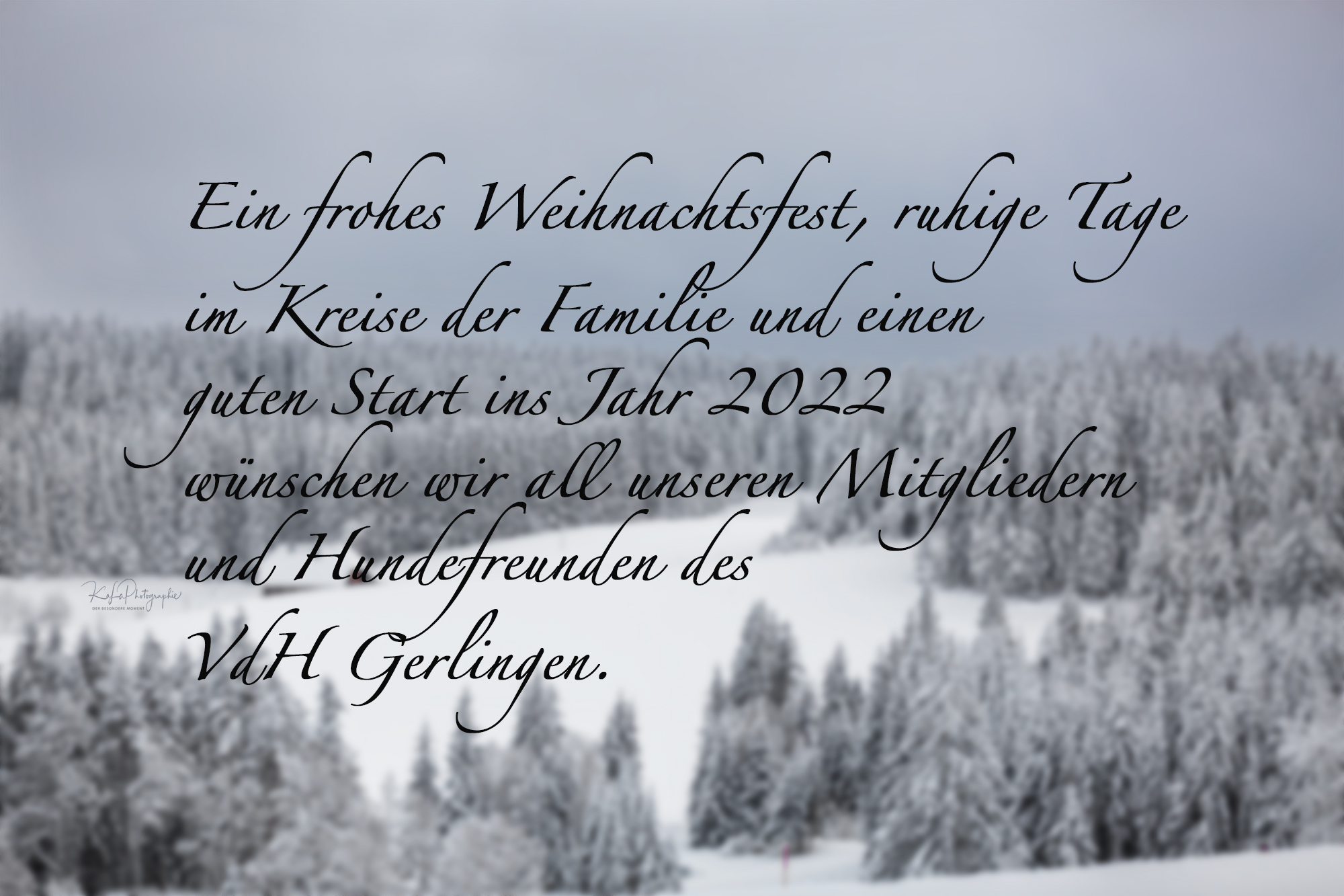 Frohe Weihnachten