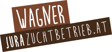 jurazuchtbetrieb.at