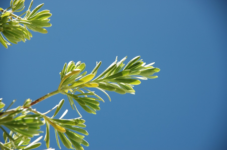 不動産取引価格情報の分析 - 武井清不動産鑑定事務所