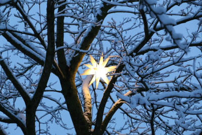 leuchtender Stern in einem Baum, Zweige schneebedeckt