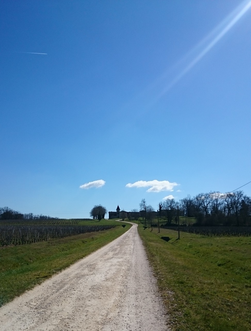 Le challenge Montesquieu - Foulees Saint Selvaises, Association Marathon  des graves, course pedestre 10 km et semi St Selve à proximité de Bordeaux,  courrir en gironde 33, course à pied, randonnée nordique et pédestre