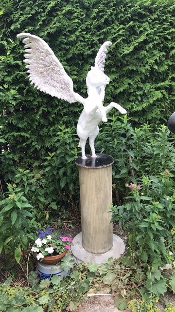 Pegasus von Birgid Braun