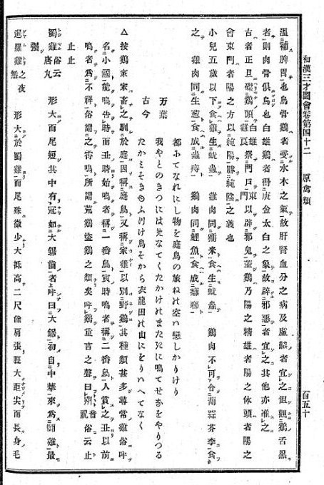 倭漢三才図会 - 高知のにわとり 倭漢三才図会 - 高知のにわとり