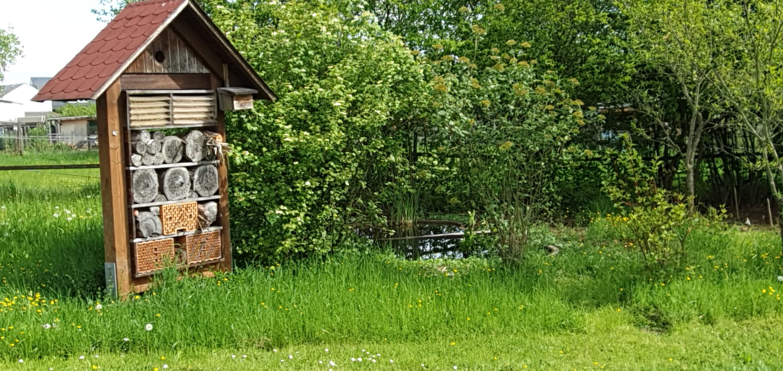Unser neuer Teich gebaut von der Jugendgruppe und unser Insektenhotel