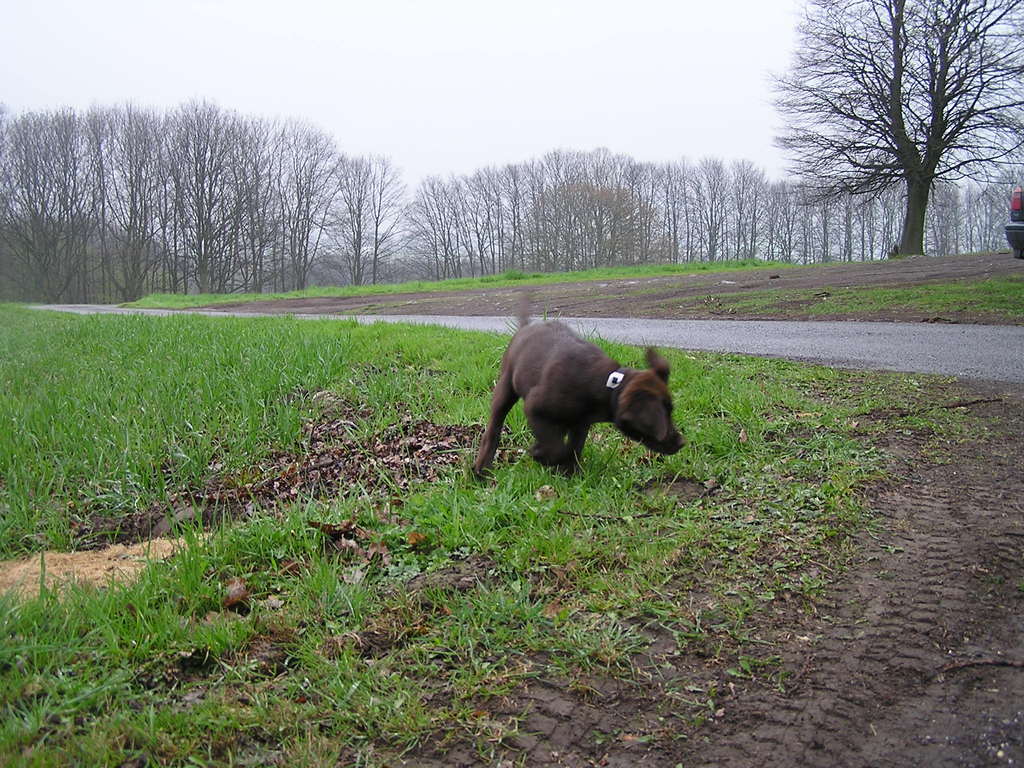 die Rakete