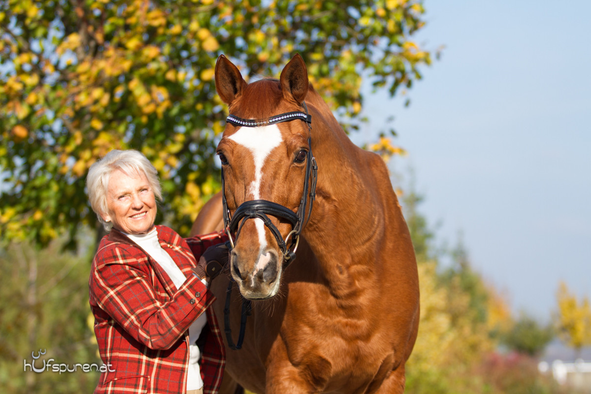 Pferdefotoshooting Trakehner Österreich