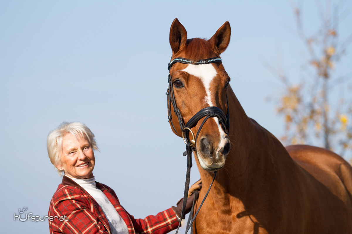 Pferdefotoshooting Trakehner Österreich