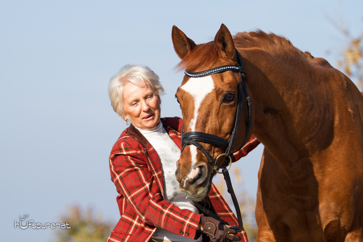 Pferdefotoshooting Trakehner Österreich