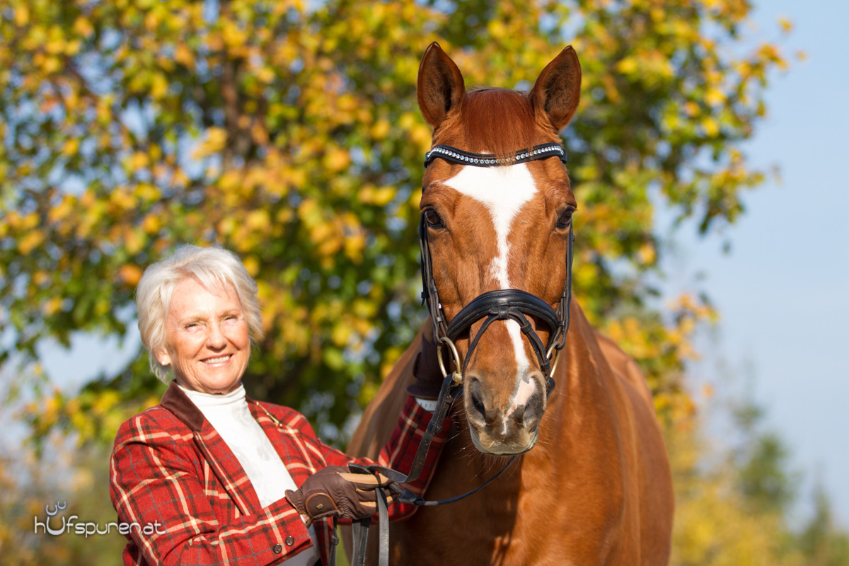 Pferdefotoshooting Trakehner Österreich