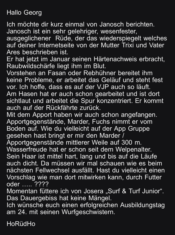 Rückmeldung Anfang Januar 26 vom ersten Wurf mit Ares vom Karlswald 