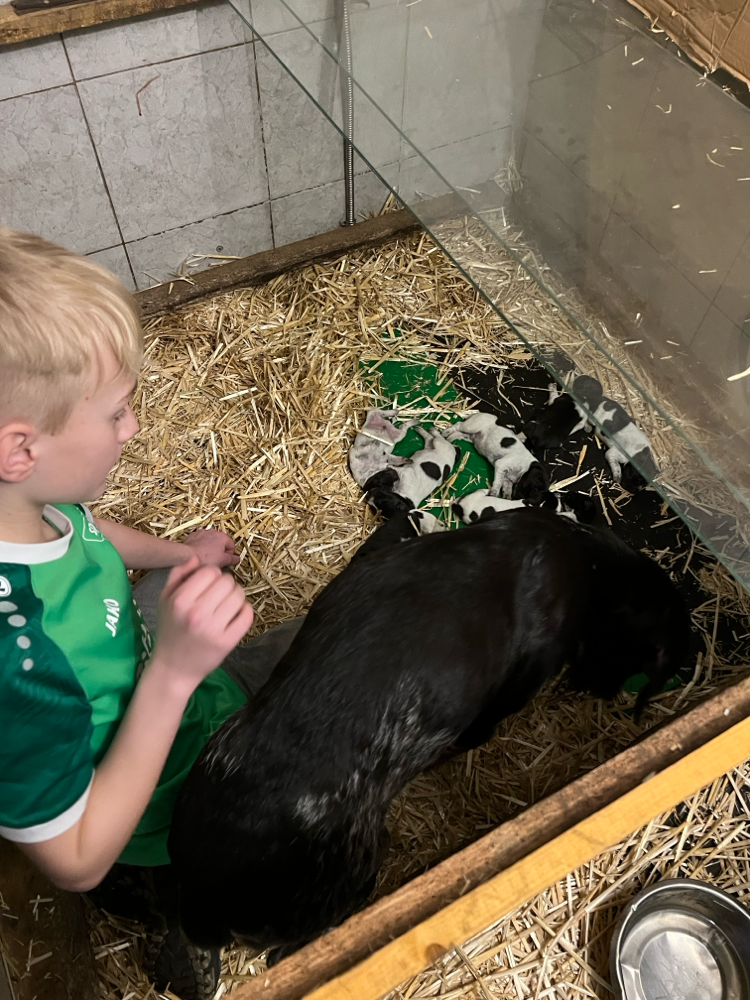 8 Welpen wollen gestreichelt werden 🫣