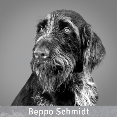 Beppo Schmidt, Mahnwesen