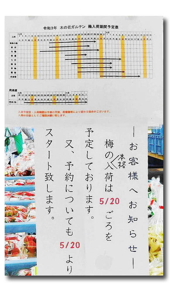 オレンジ色のスケッチ
