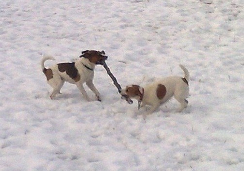 Benny und Bonnie 19 Jan, 2010