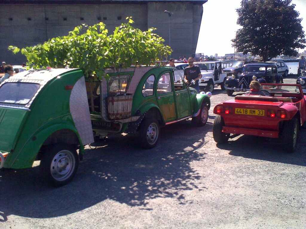Tiens ca pousse sur les 2 CV la vigne bordelaise !!!... Un bon cru  en perspective !
