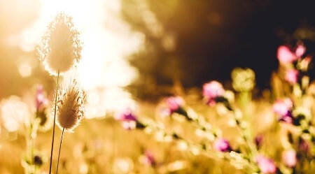 Standig Mude Was Tun Spirituelle Beratung Mareike Schauf