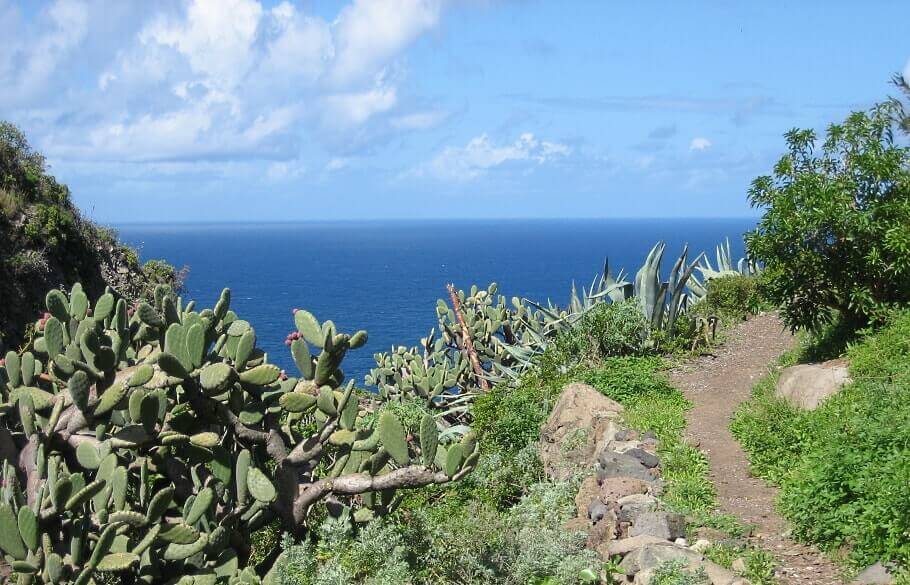 eine wunderschöne Klippenlandschaft auf Teneriffa