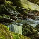 kleiner Wasserfall im Wald