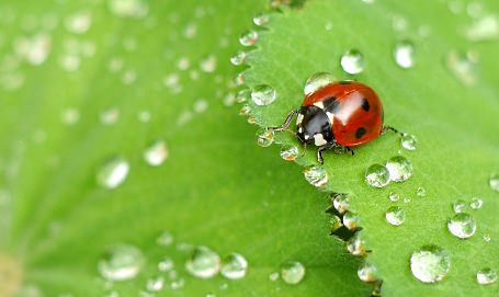 Optimismus und positives Denken lernen 