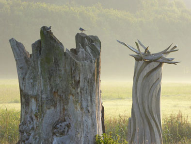 Iyengaryogaretreat, yogaretreatnorddeutschland, yogaretreat, yogaerholung, yogaurlaub, auszeitmityoga, yogaauszeit, iyengaryogaurlaub, iyengaryogaferien, iyengaryogamitchristinebader