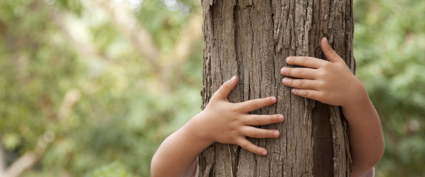 Tree hugging