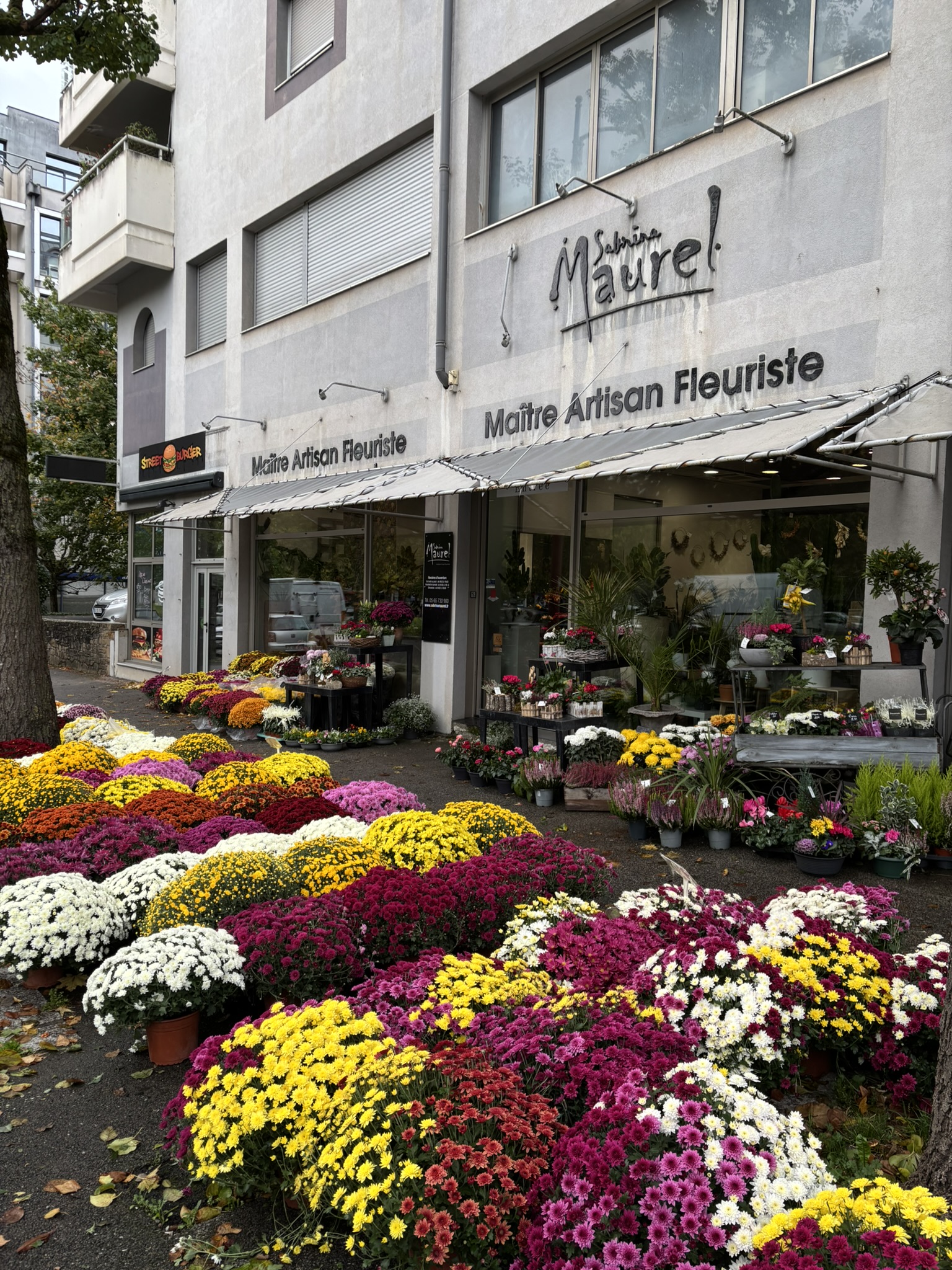 notre assortiment 2025 de chrysanthèmes de Toussaint 