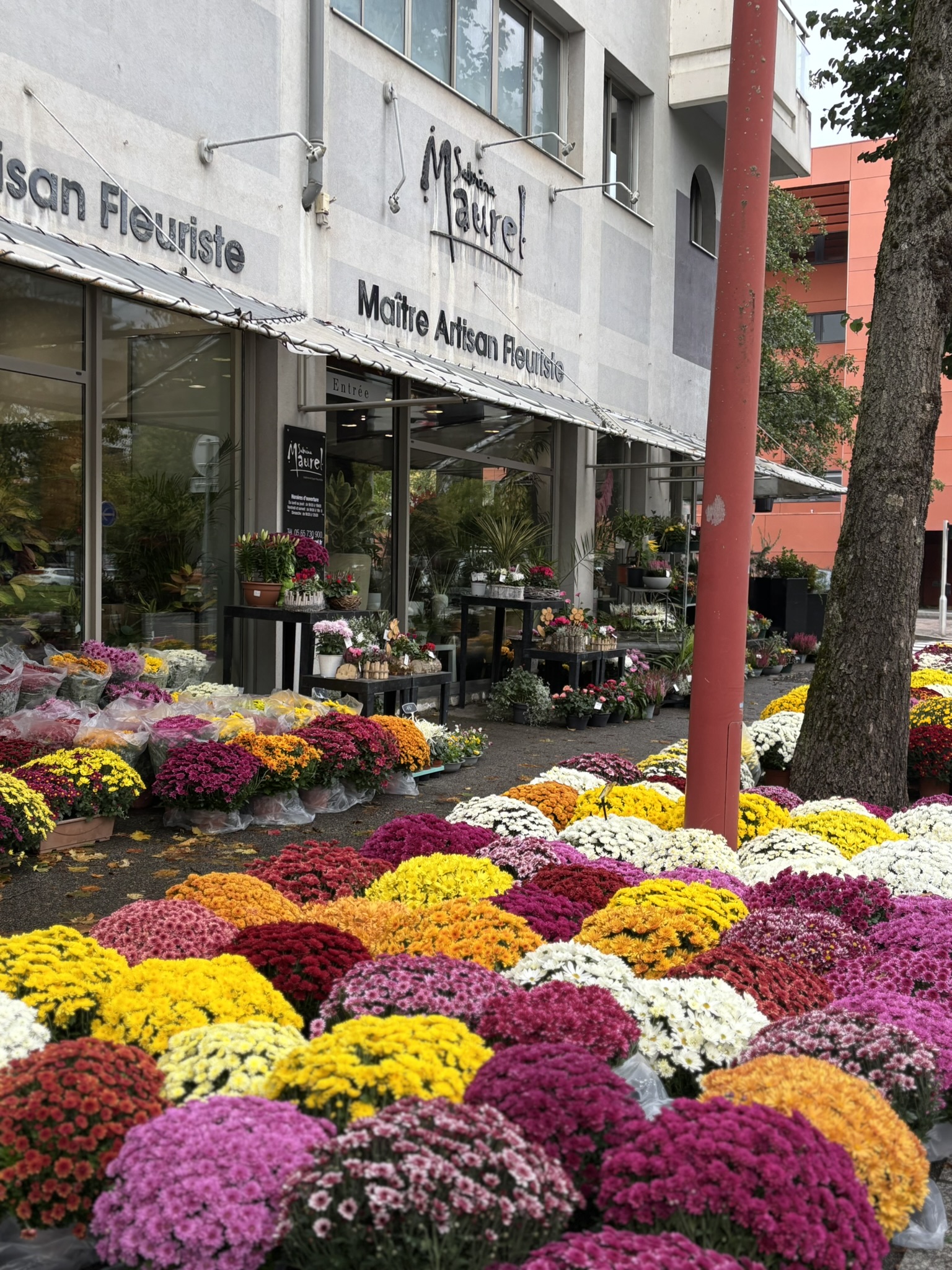 l' avenue du mail bien fleurie à Rodez