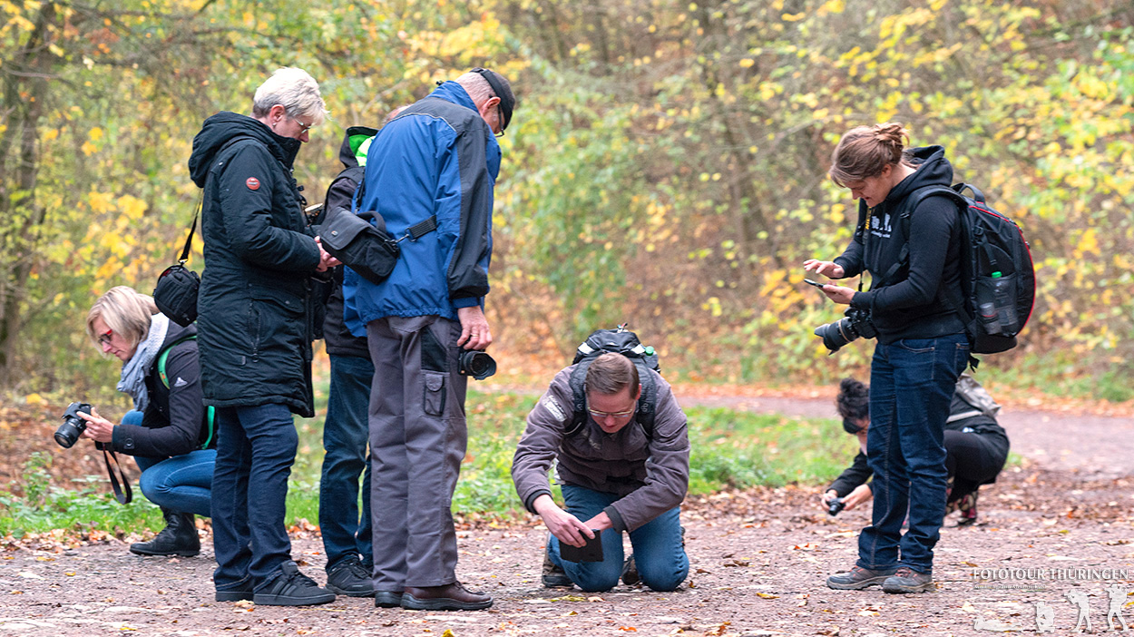 In der Fotogruppe gemeinsam fotografieren