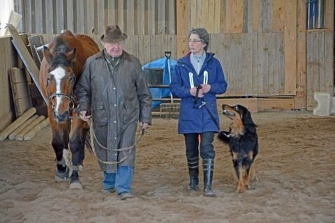 Musterschüler Baki beim Training in der Reithalle, Januar 2015