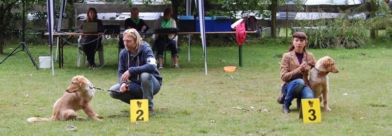 Die "vielversprechenden" Repräsentanten vom Silberdistelwald:  Booker Bleik und Birdy/ BENJAMIN bei der Schau in Haltern