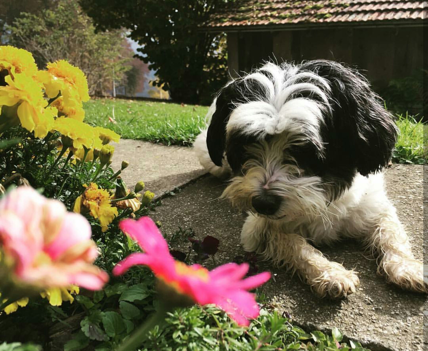 Instagram