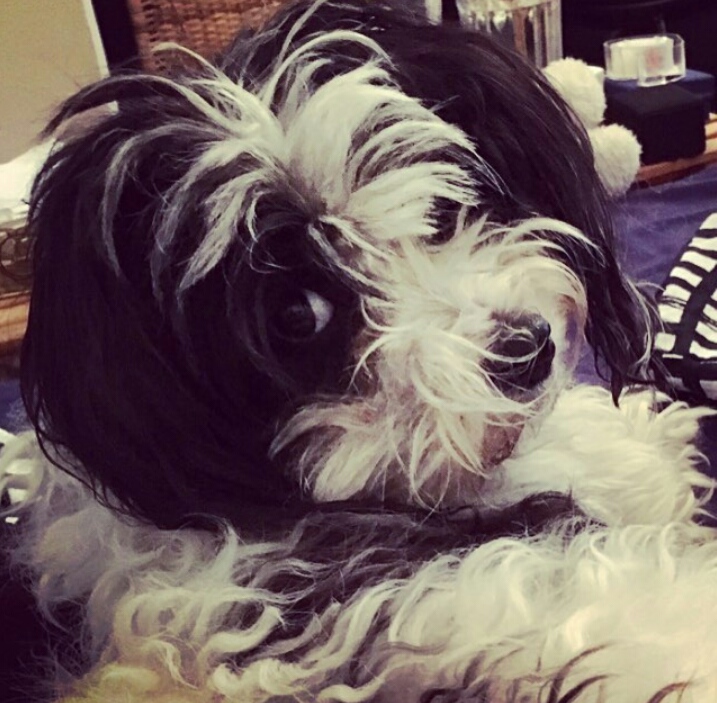 Instagram