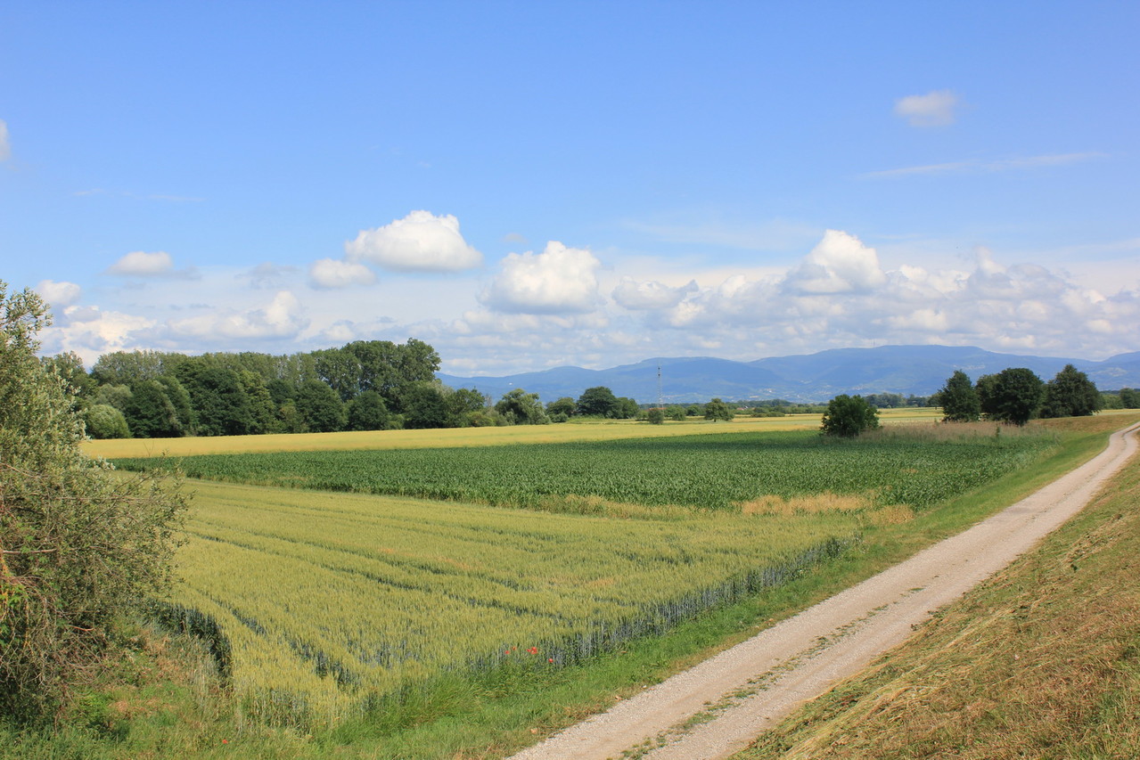 Panoramablick auf den Badisch Gejli