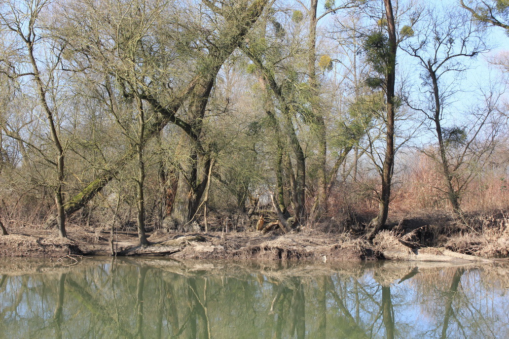 Gründe - vorne Rench, hinten Baggersee -