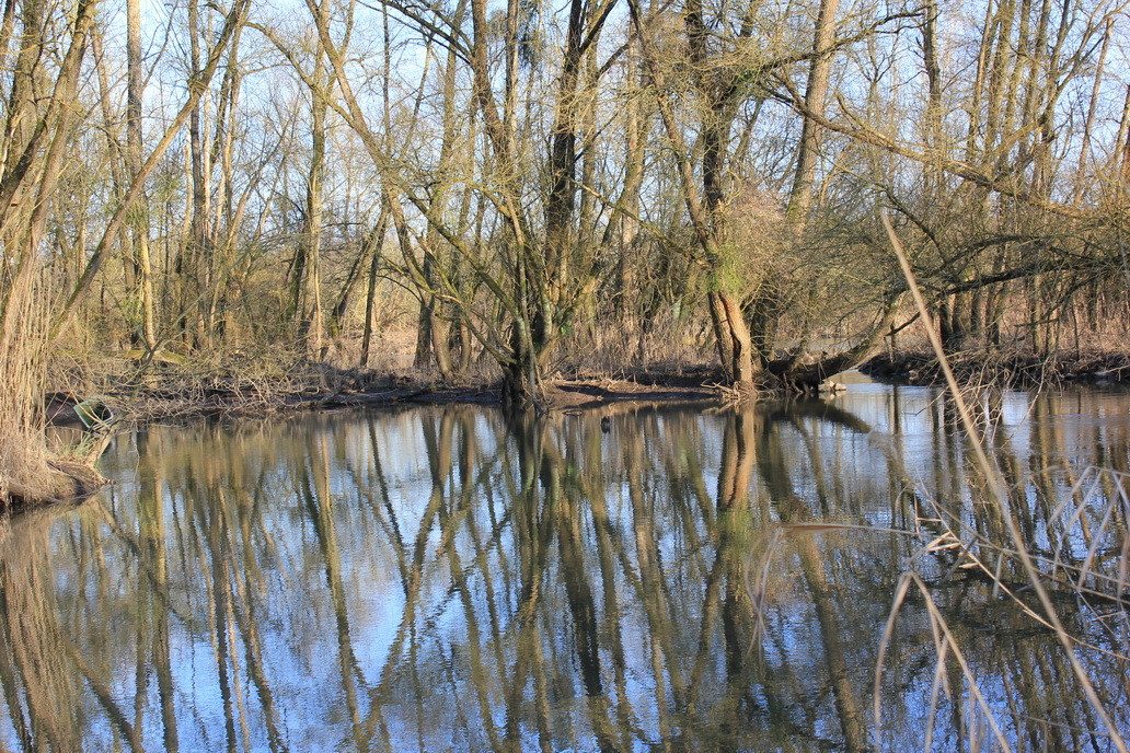 Beilenkopf - Natur pur -