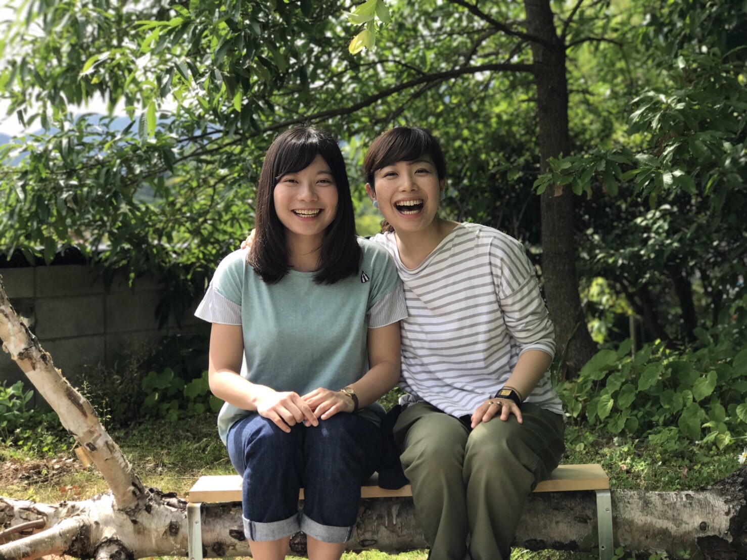 25年の時が流れて 古民家民宿千屋アウトドアハウス 25年の時が流れて 古民家民宿千屋アウトドアハウス