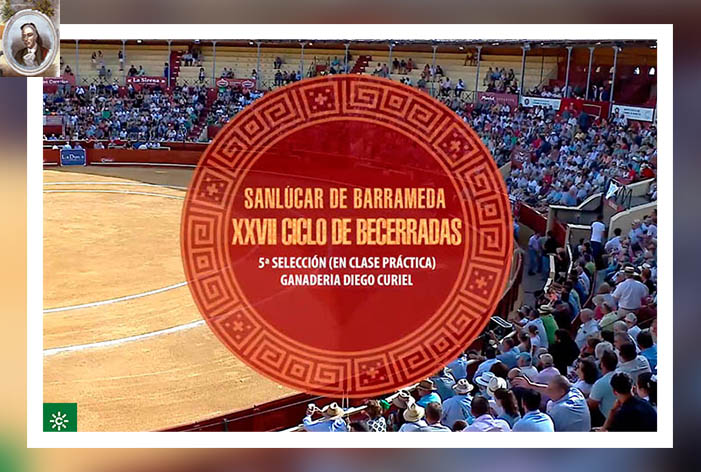 La ‘V Selección’ del XXVII Ciclo de Becerradas en Sanlúcar de Barrameda generó un 12,2% de Share en Canal Sur TV