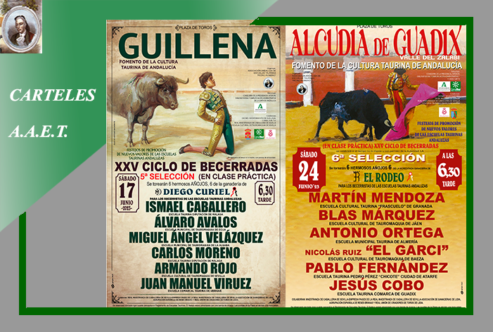 Guillena y Alcudia de Guadix, recta final de las ‘selecciones clasificatorias’ del XXV Ciclo de Becerradas