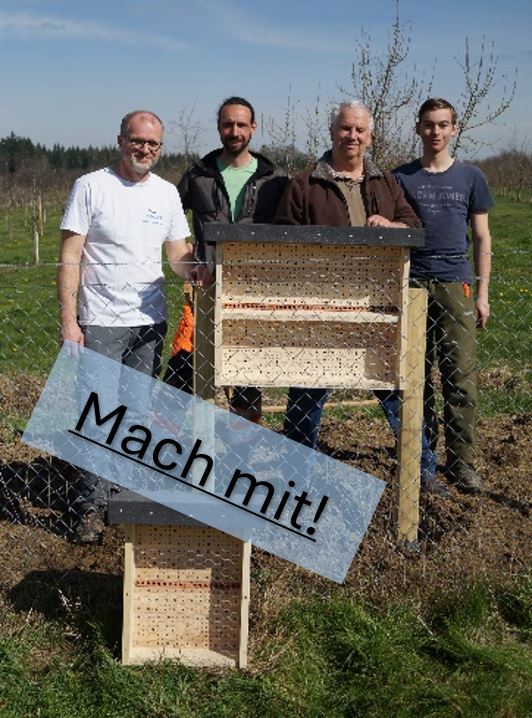 Wettbewerb:  Ein Wildbienenhaus für Deinen insektenfreundlichen Garten
