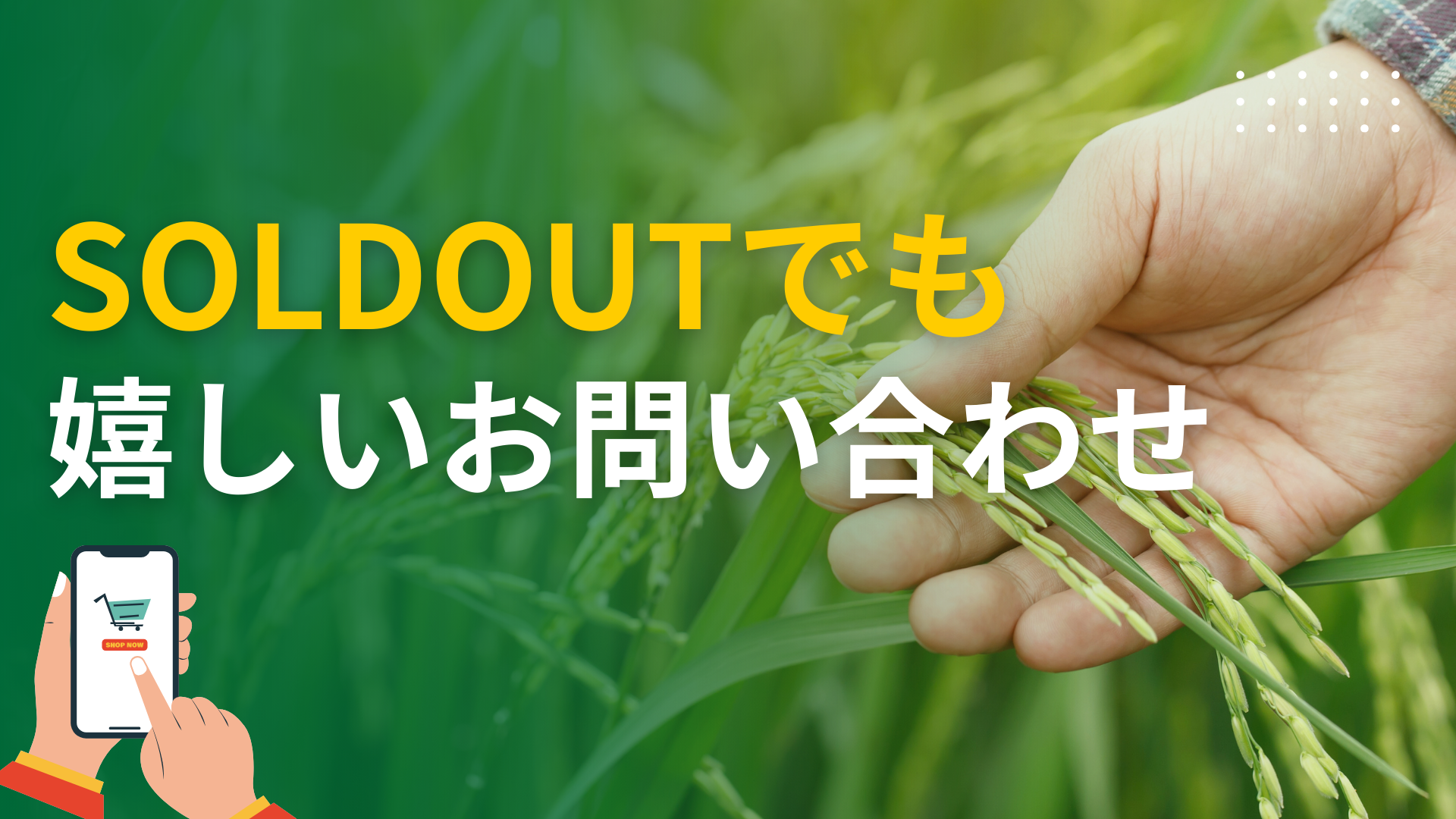 新米シーズン到来！ネットショップに嬉しいお問い合わせ