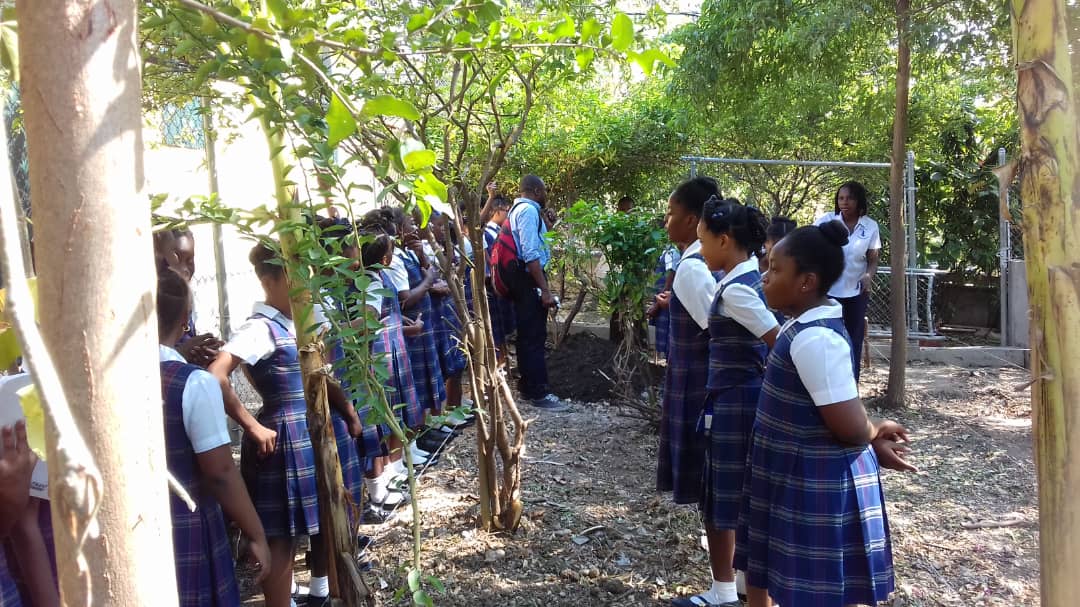 BIENVENUE A SAINTE ROSE Sainte Rose de Lima