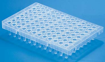 pcr plate with 4 segments and halfskirted