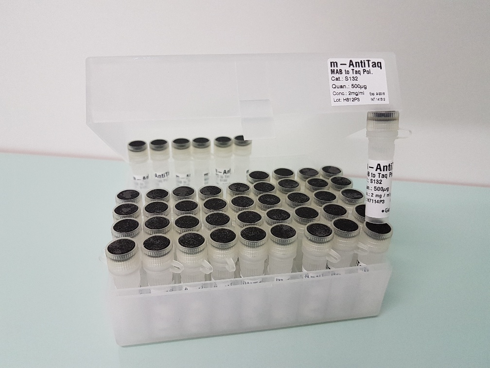 monoklonaler antikorper zu taq dna polymerase