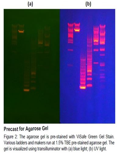 GelRed, Visafe, Gelstain alternative to Ethidiumbromide